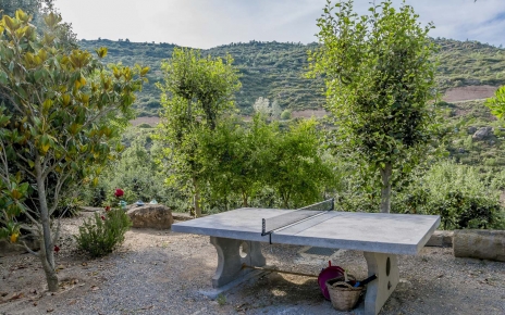 Mesa de ping-pong incorporado